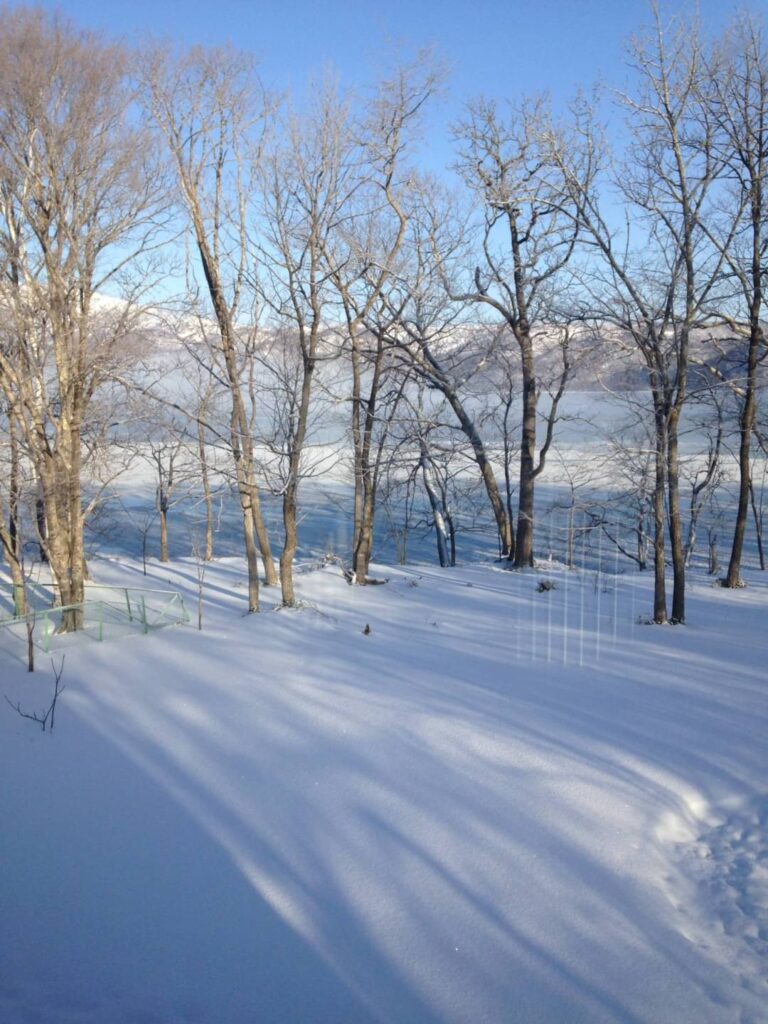 調理場からの風景